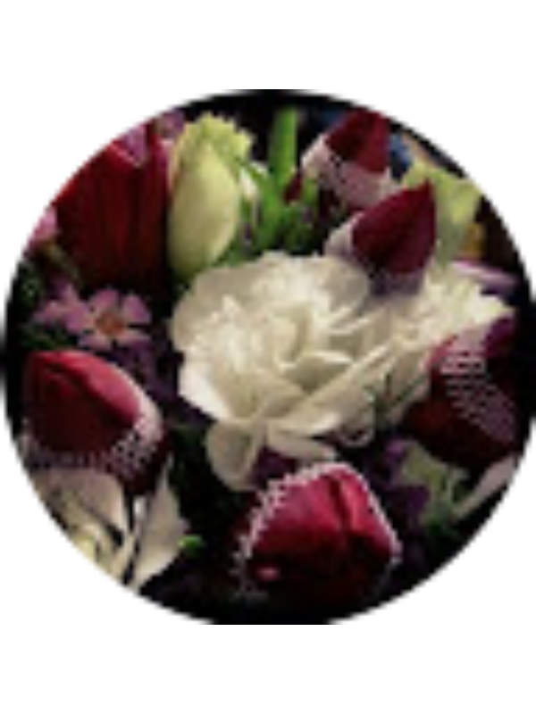 Photo of Rebecca Tan