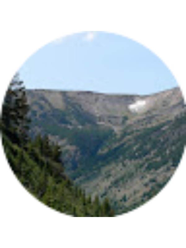 Photo of Isaac Wirth