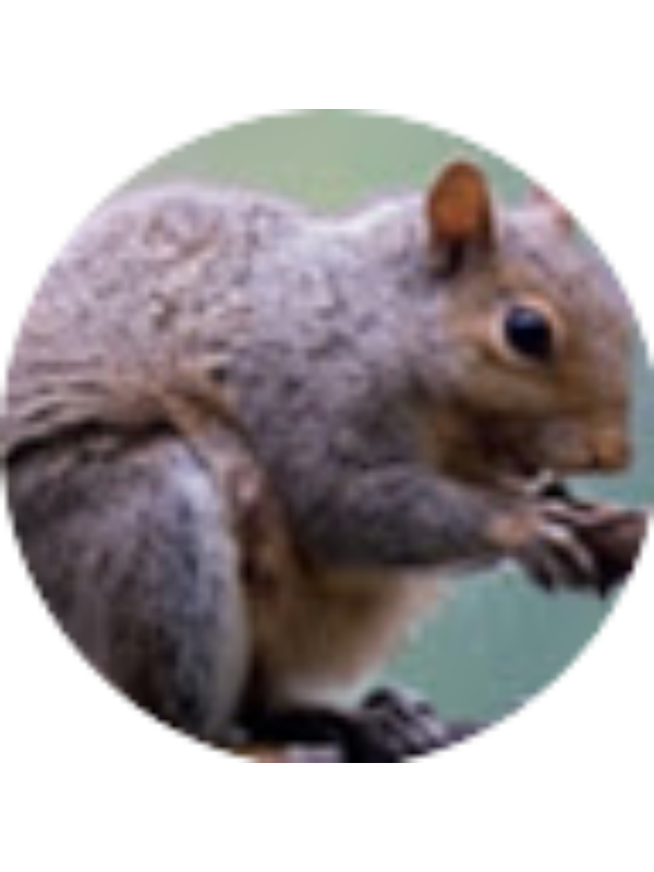 Photo of Theo Johannes