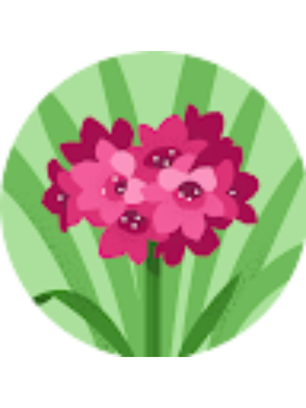 Photo of Chyaana Culbreath