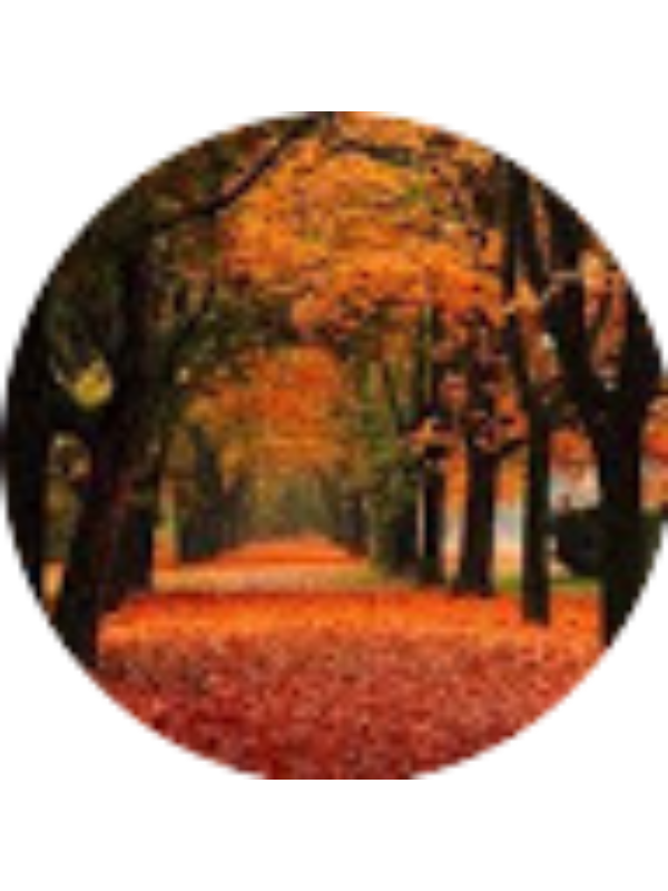 Photo of Tiffany Page