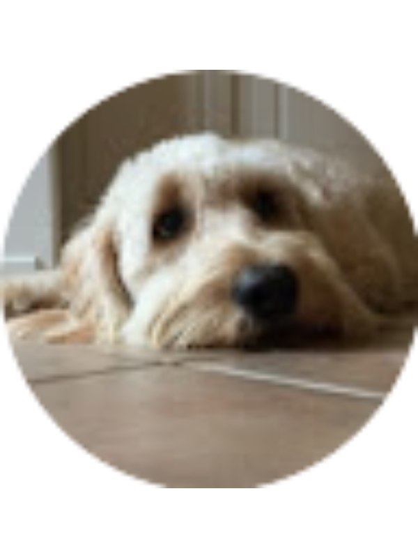 Photo of Quinn Nunes Douglas