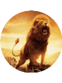 Picture of Hamdullah A