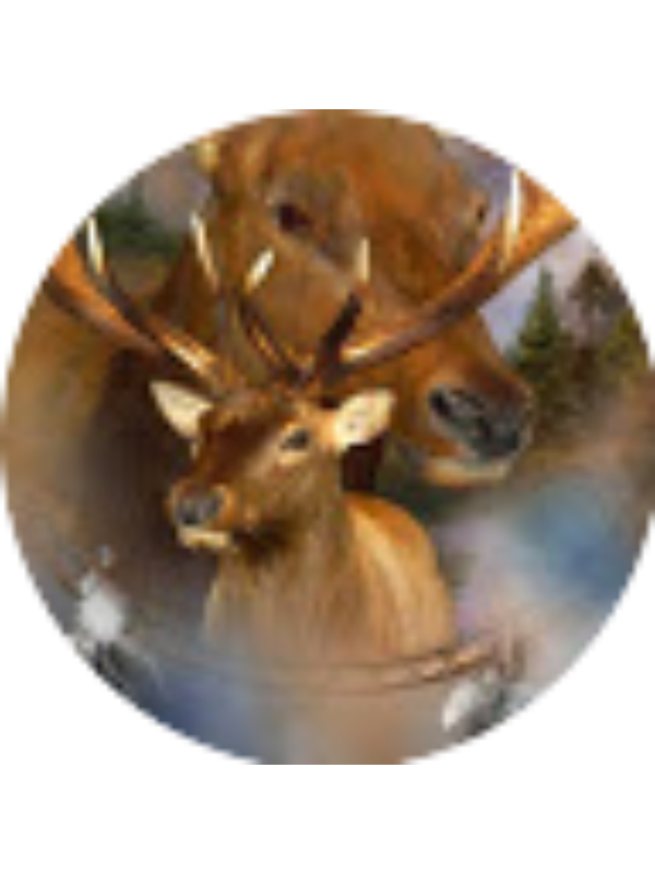 Photo of Lillyn Rogers