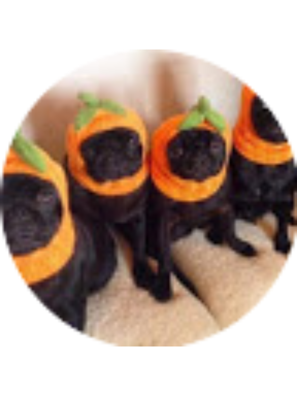 Photo of Lyric Deatherage