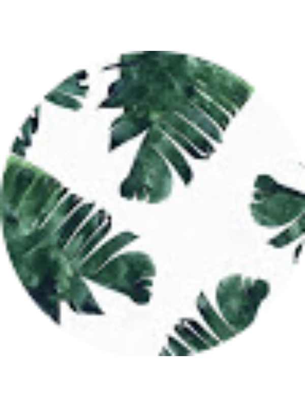 Photo of Xavier Quintanilla