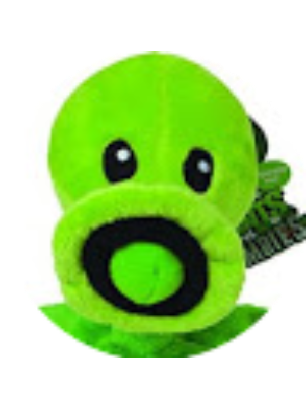 Photo of Bryan Palomo