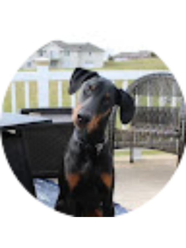 Photo of Kolten C