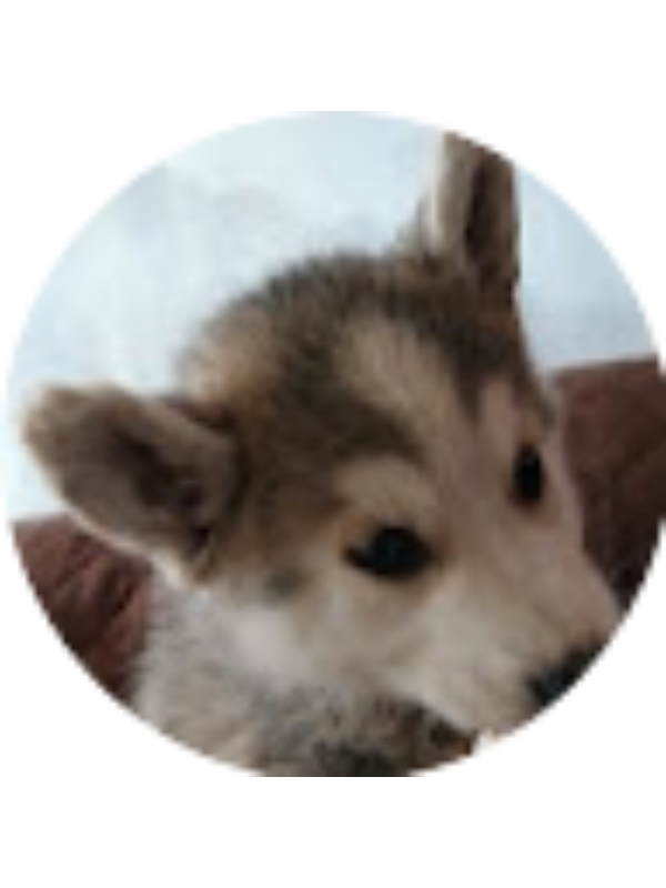 Photo of Mashiel Andrango