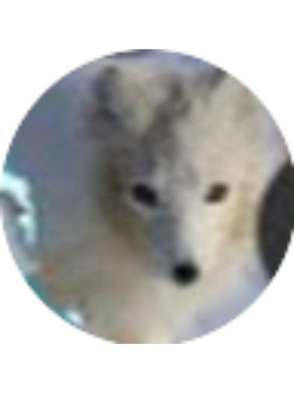 Photo of Jack Turnbull