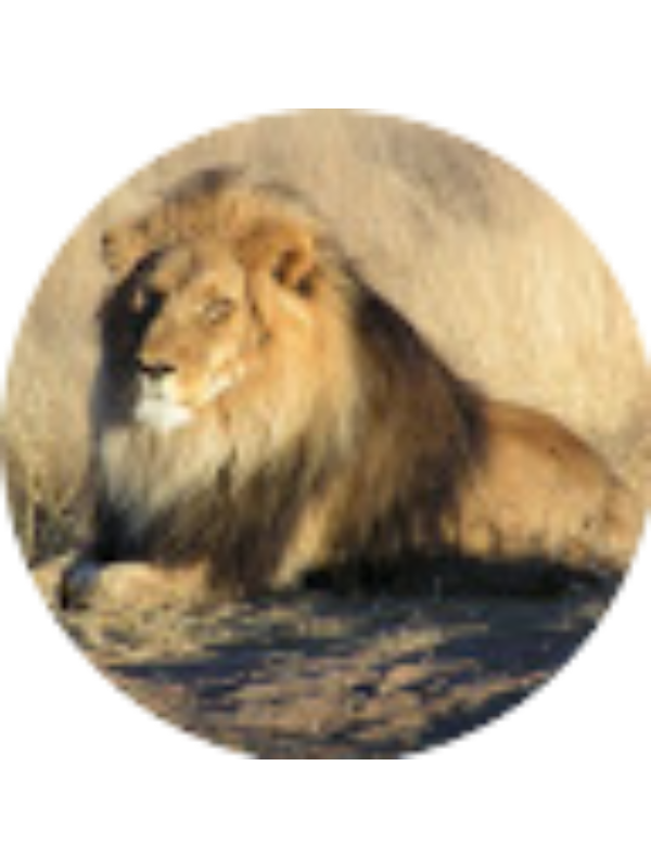 Photo of Alexander Sims