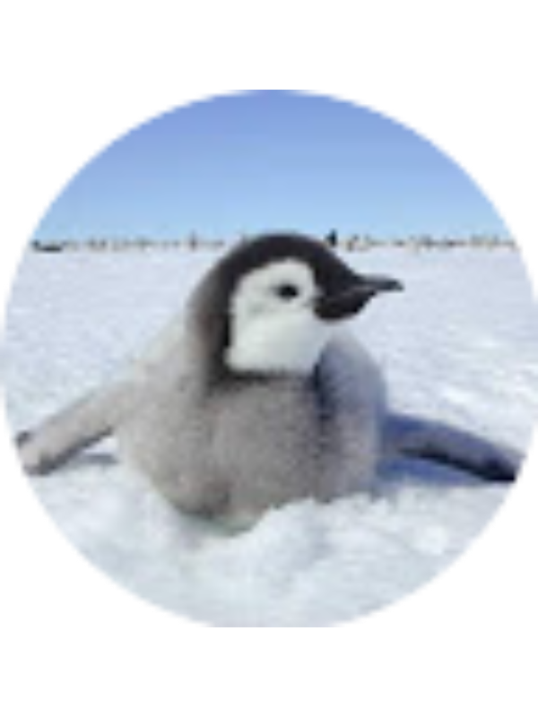 Photo of Johanna Mayfield