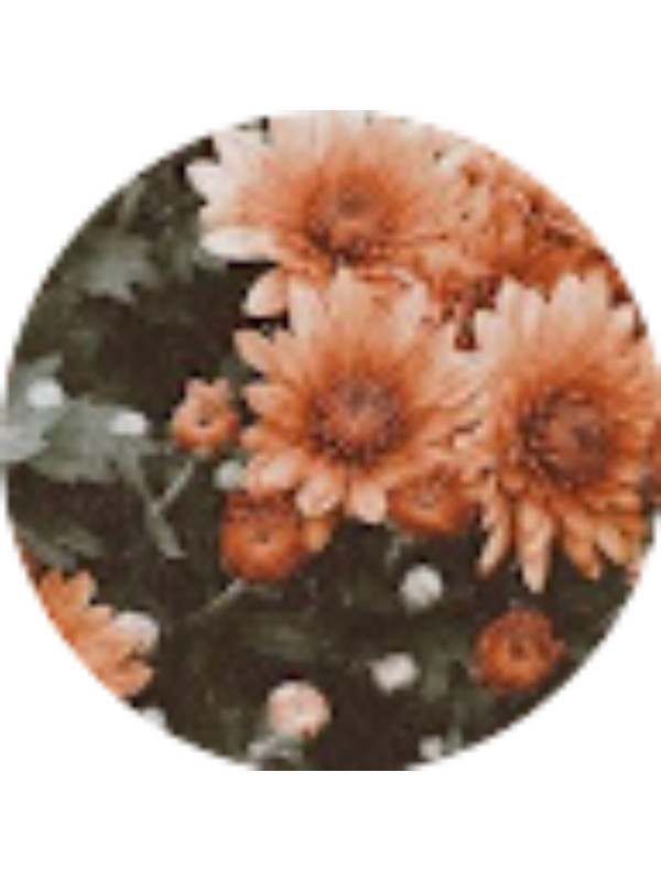 Photo of Selen G&uuml;m&uuml;ş