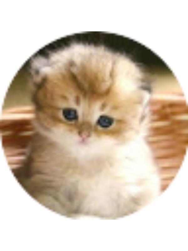 Photo of Romina Moncayo