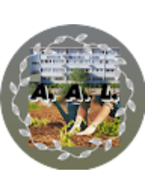 Photo of Antalya anadolu lisesi Projelerimiz