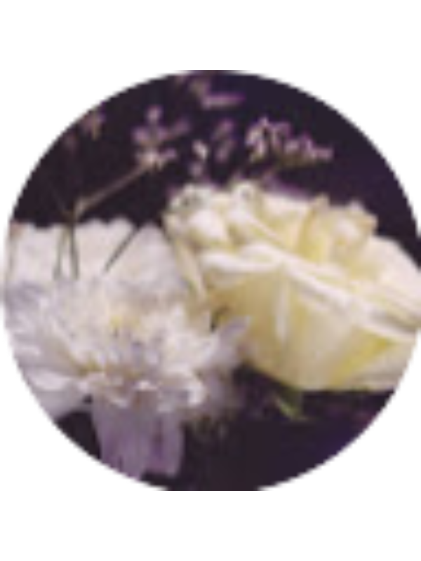 Photo of Valen SalvaVALEN