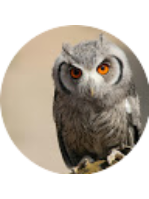 Photo of Ирина Фёдоровна