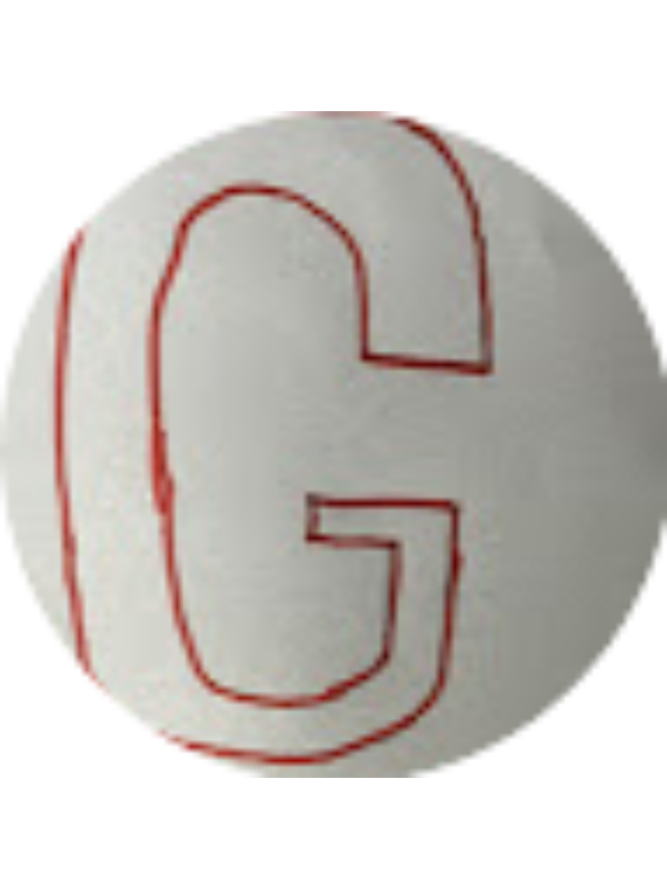 Photo of GARGI KAHALEY