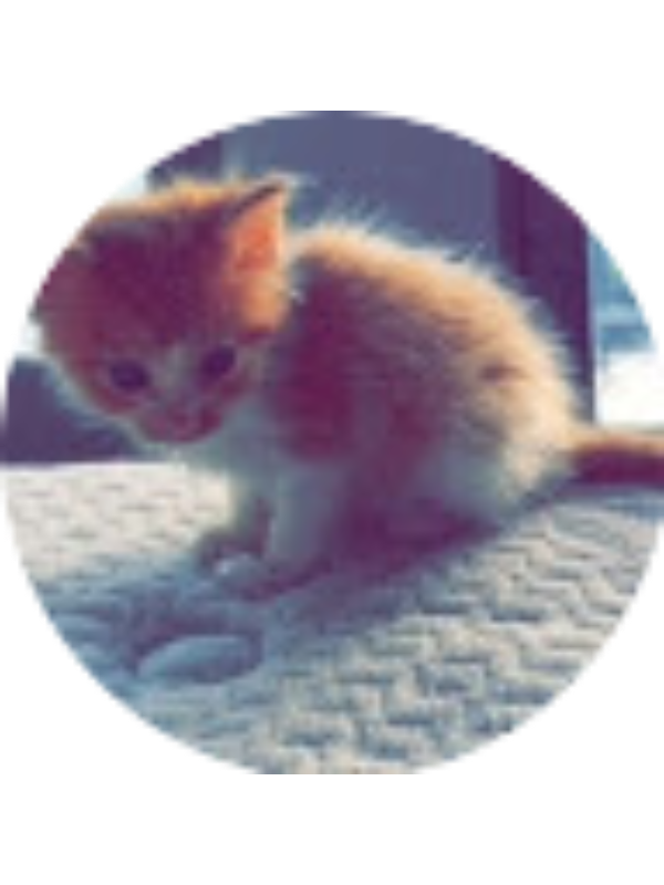 Photo of Melina Flores