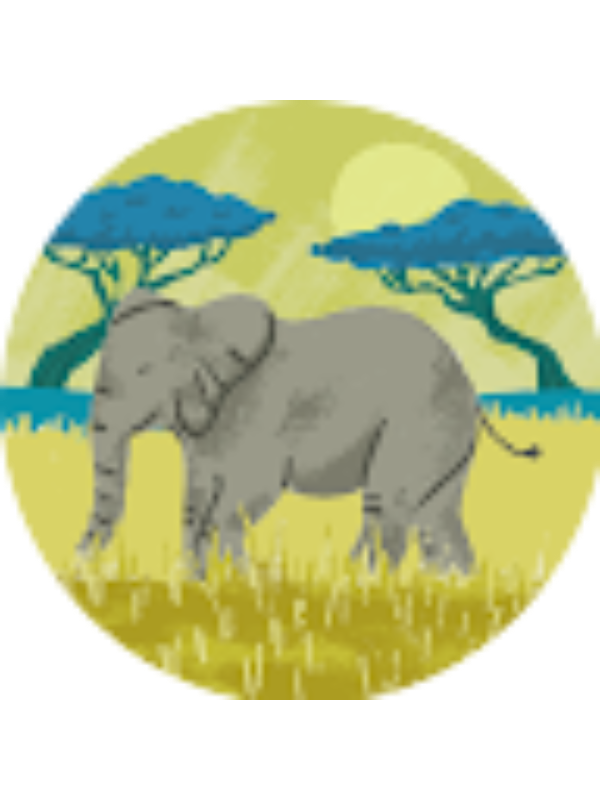 Photo of Vicente Proen�a Carri�o Gouveia .