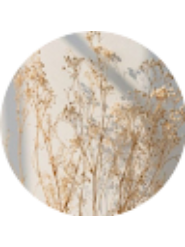 Photo of HARMEET KAUR A/P JASPAL SINGH KPM-Guru