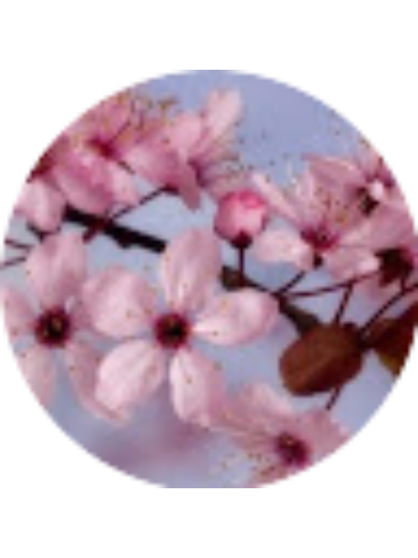 Photo of Ayşen Ay IŞIK