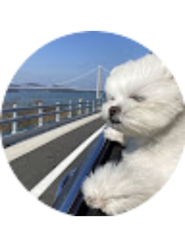 Photo of Jeffry Sandoval