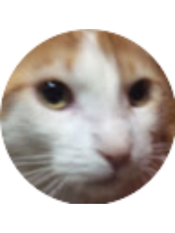 Photo of Leandro Joaquin Fernandez Yucra