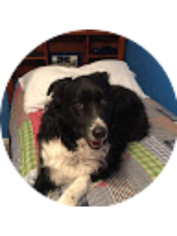 Photo of Chase Reinhard