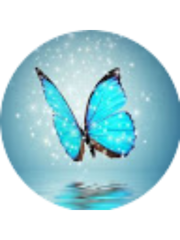 Photo of Sevin&ccedil; Demir