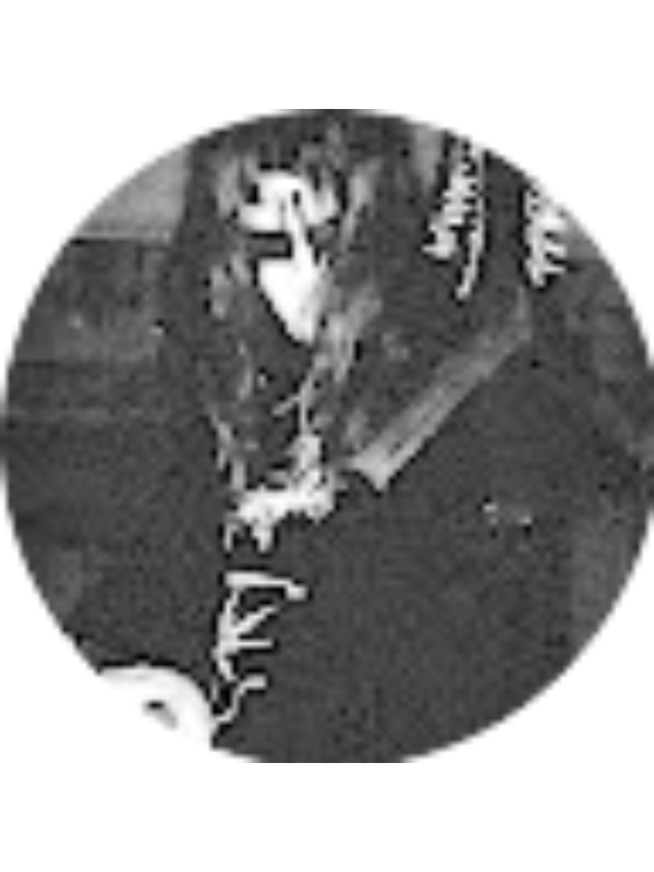 Photo of Kristell Pinto