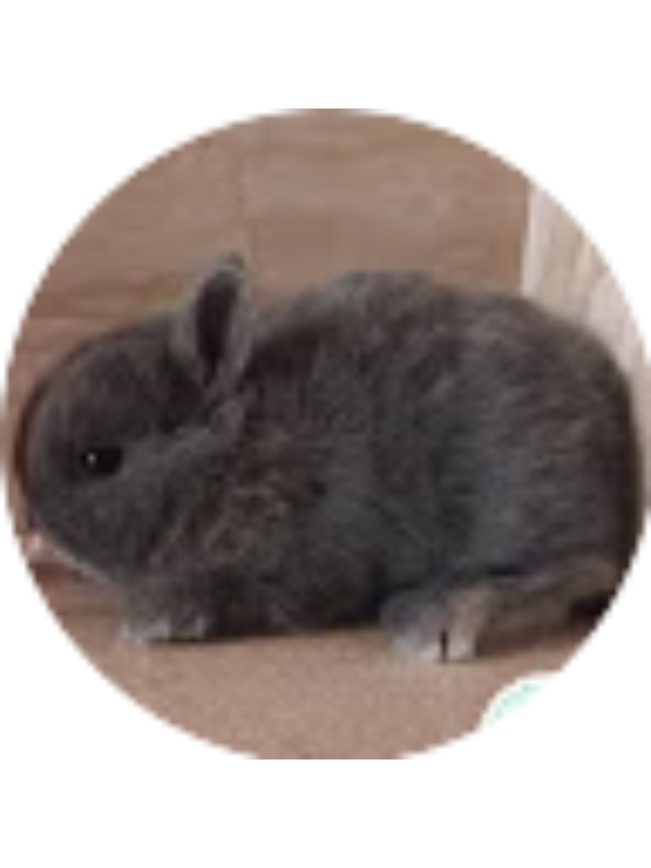 Photo of MARÍA BELLA ESCRIBANO IÑIGUEZ