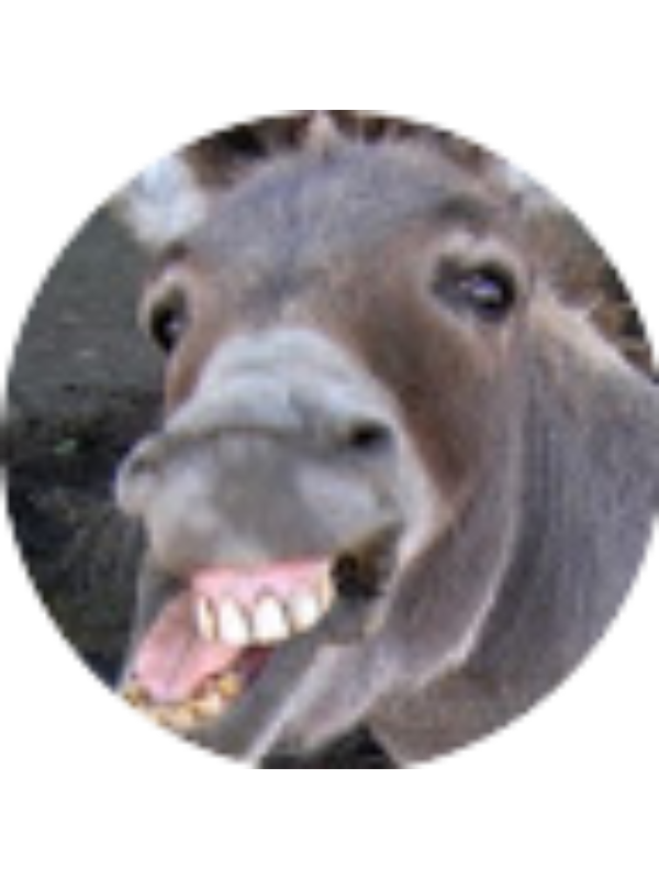 Photo of Jeffery Heaslip