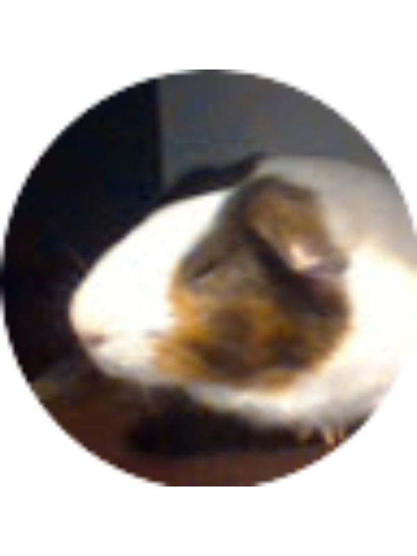 Photo of Pearl Rebro