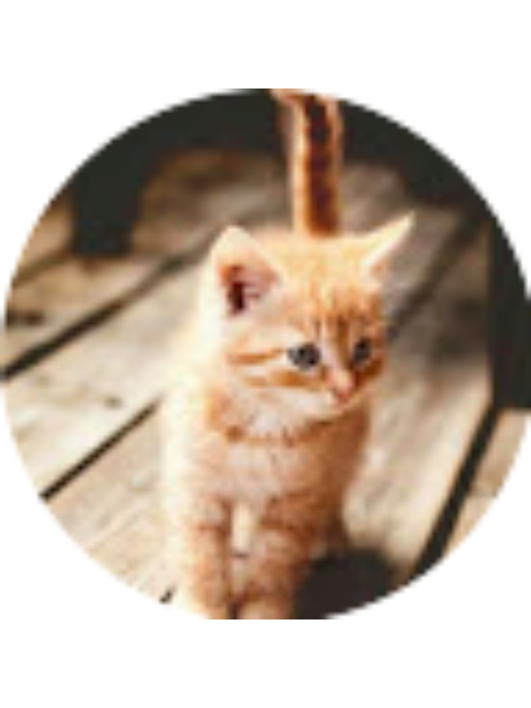 Photo of Camila HURTADO