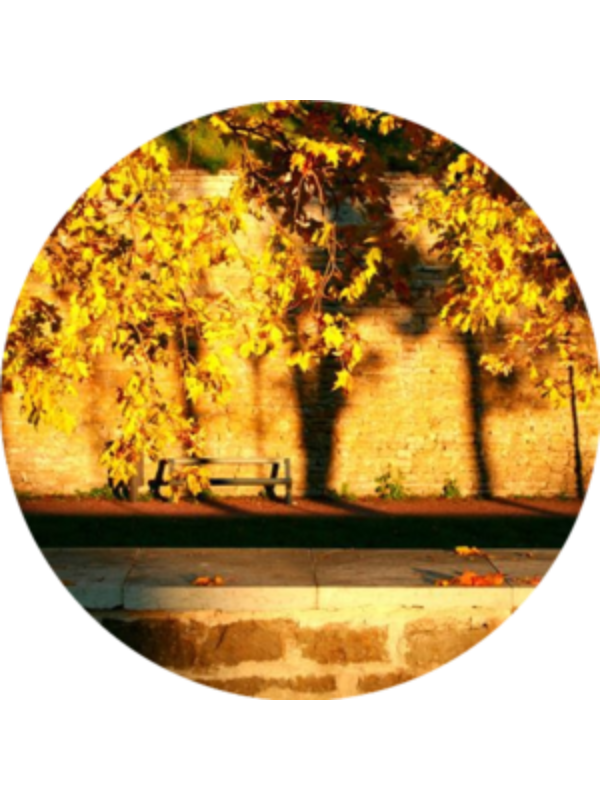 Photo of aleksandradanstsikova