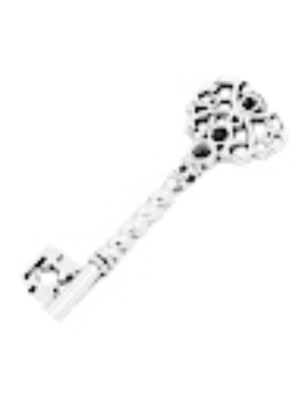 Photo of Martina Straccia