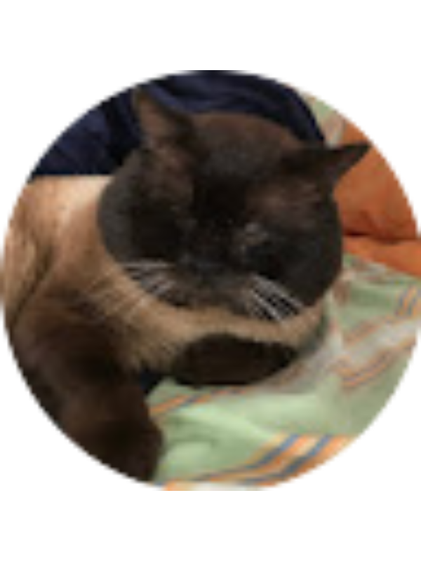 Photo of DIOGO MORGADO