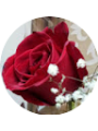 Picture of Rabab Al Sairafi