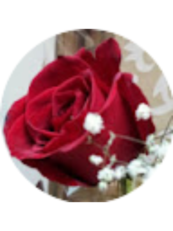 Photo of Rabab Al Sairafi