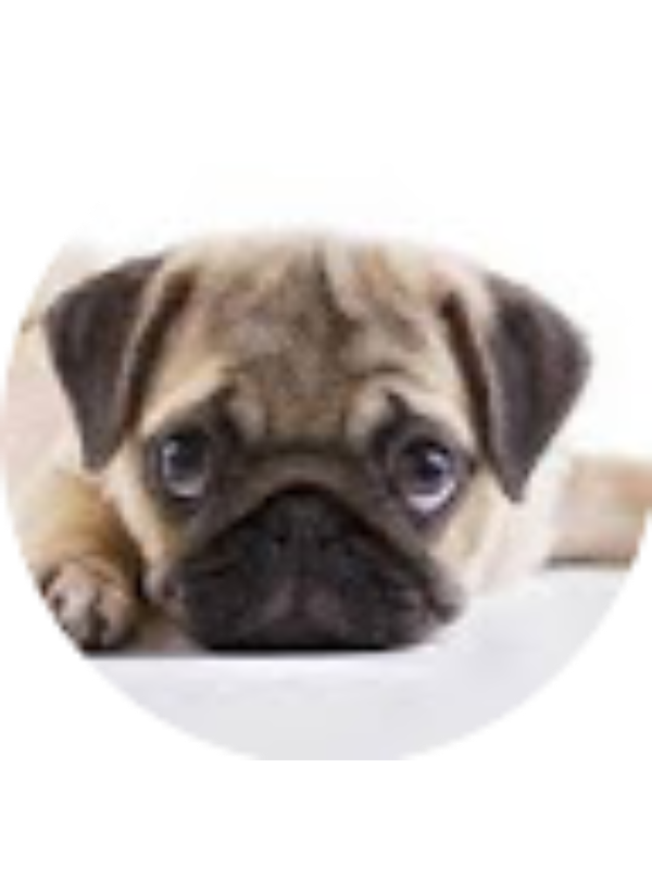 Photo of Tyler Campbell