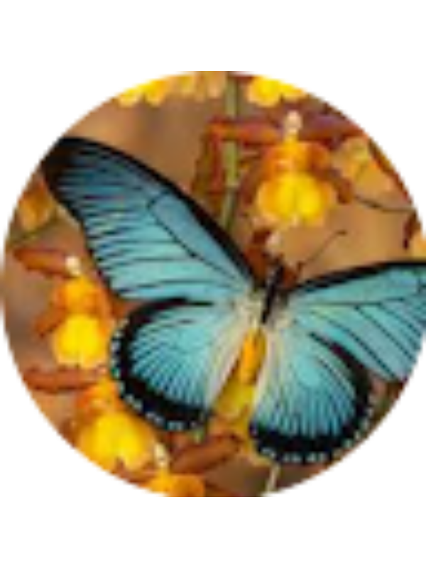 Photo of Evelyn Maqueda