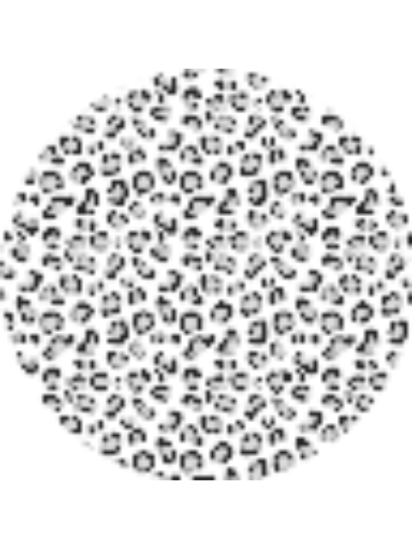 Photo of Kylie Auger