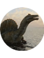 Picture of Juan Diego 