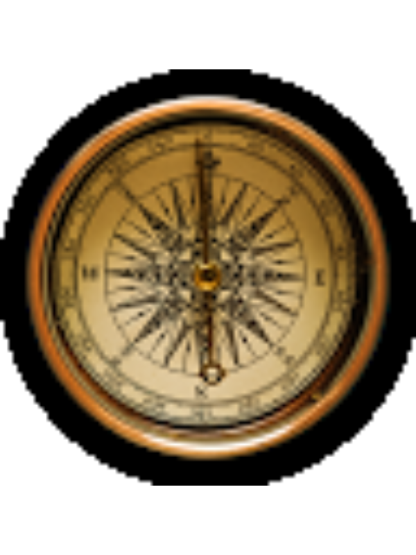 Photo of Darla Dwire