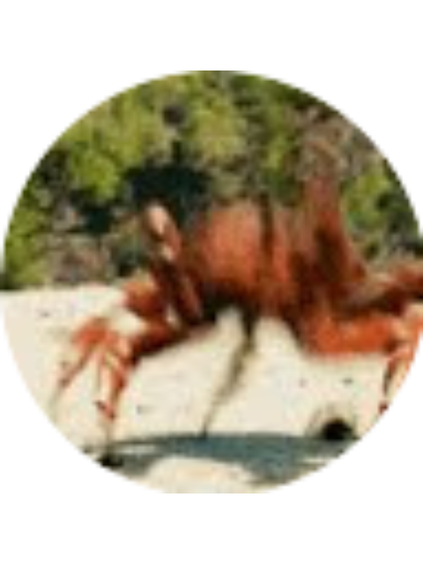 Photo of Leighton Lyons