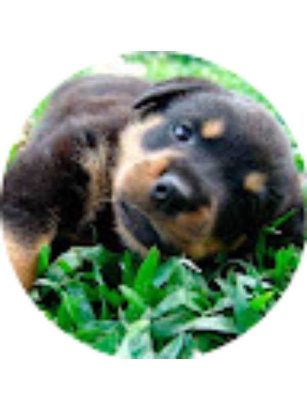 Photo of ANDR&Eacute; PHILIPPE MUSAY&Oacute;N