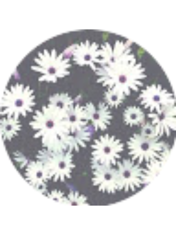 Photo of Hannah Smith