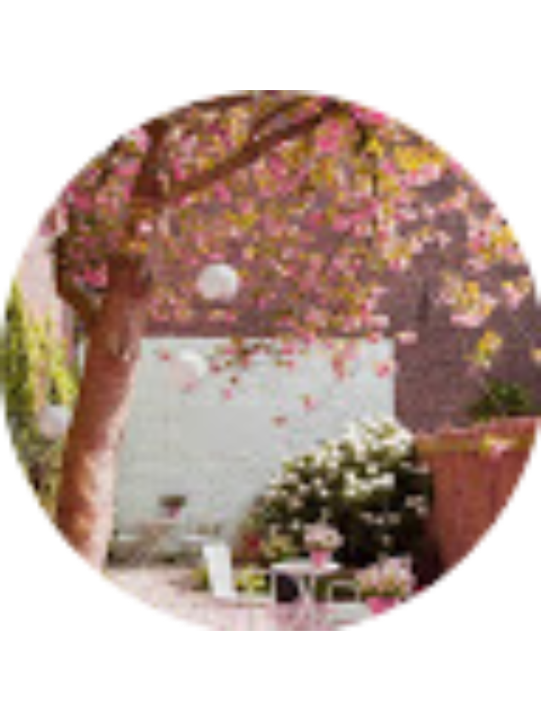 Photo of Elifin D&uuml;nyası