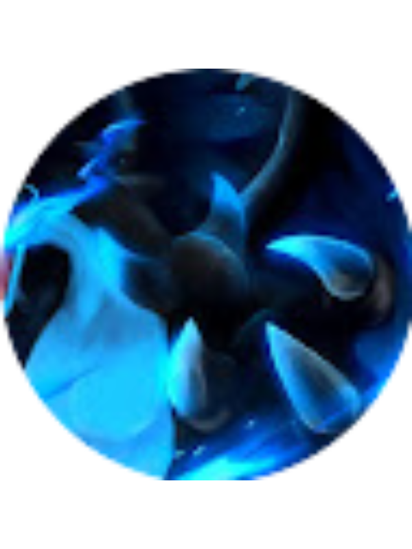 Photo of Charizard Rules